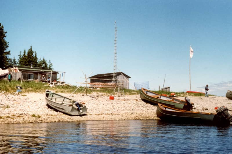 Dynamisme écologique et chasse aux oies à la Baie James Eeyou Istchee