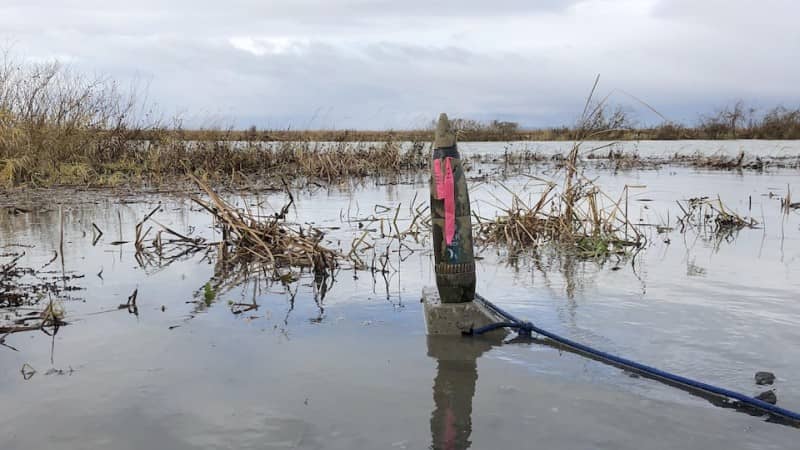 Un obus retiré du lac Saint-Pierre par les pêcheurs de la Défense nationale. Photo : Radio-Canada